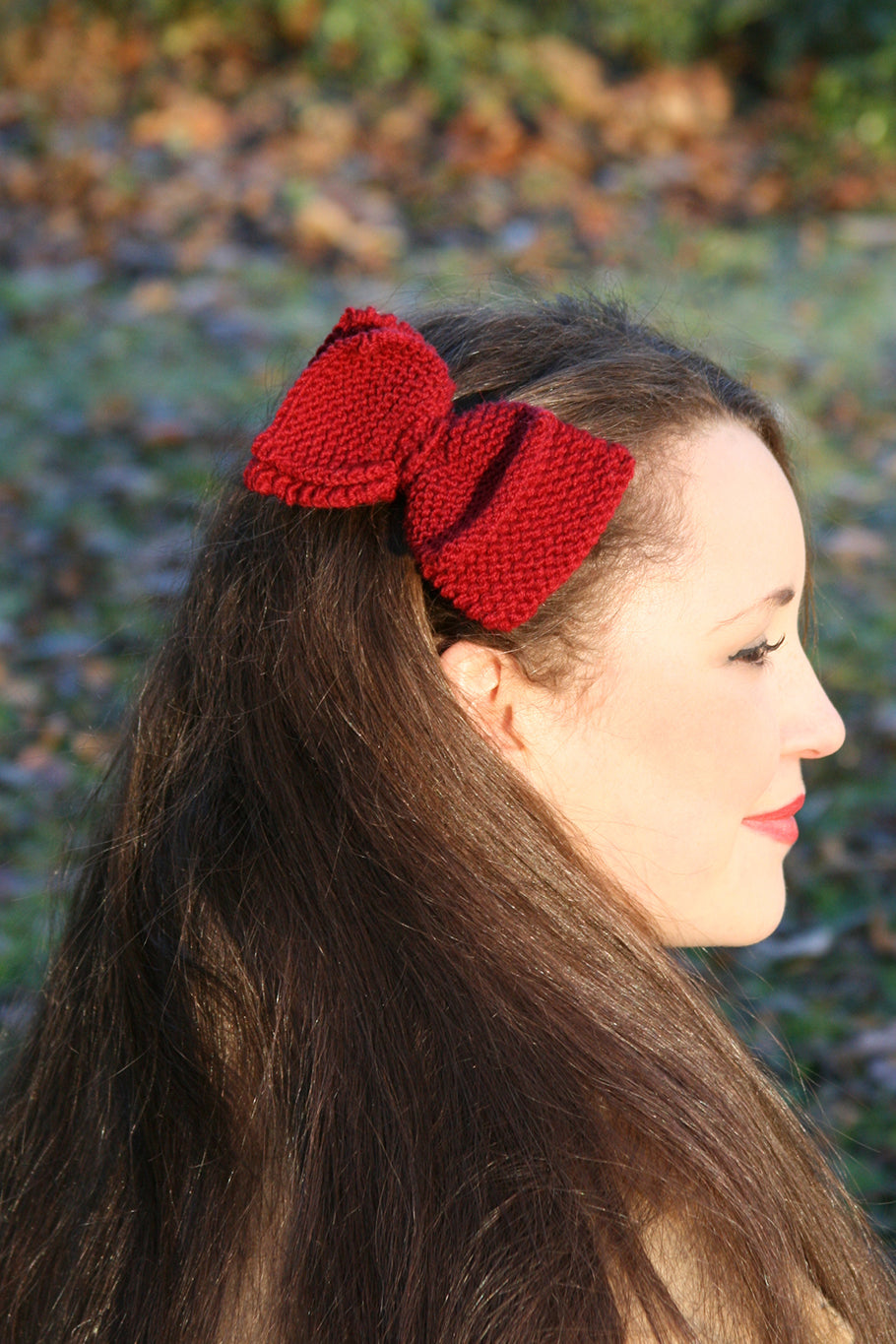 Hair Bow and Clip