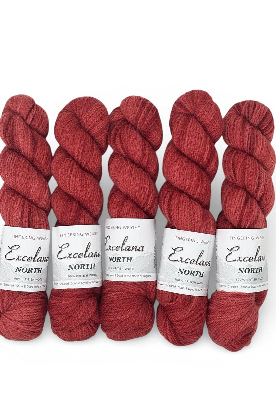 Excelana North Fingering weight - Happy Accident - Strawberry Mousse Variegated