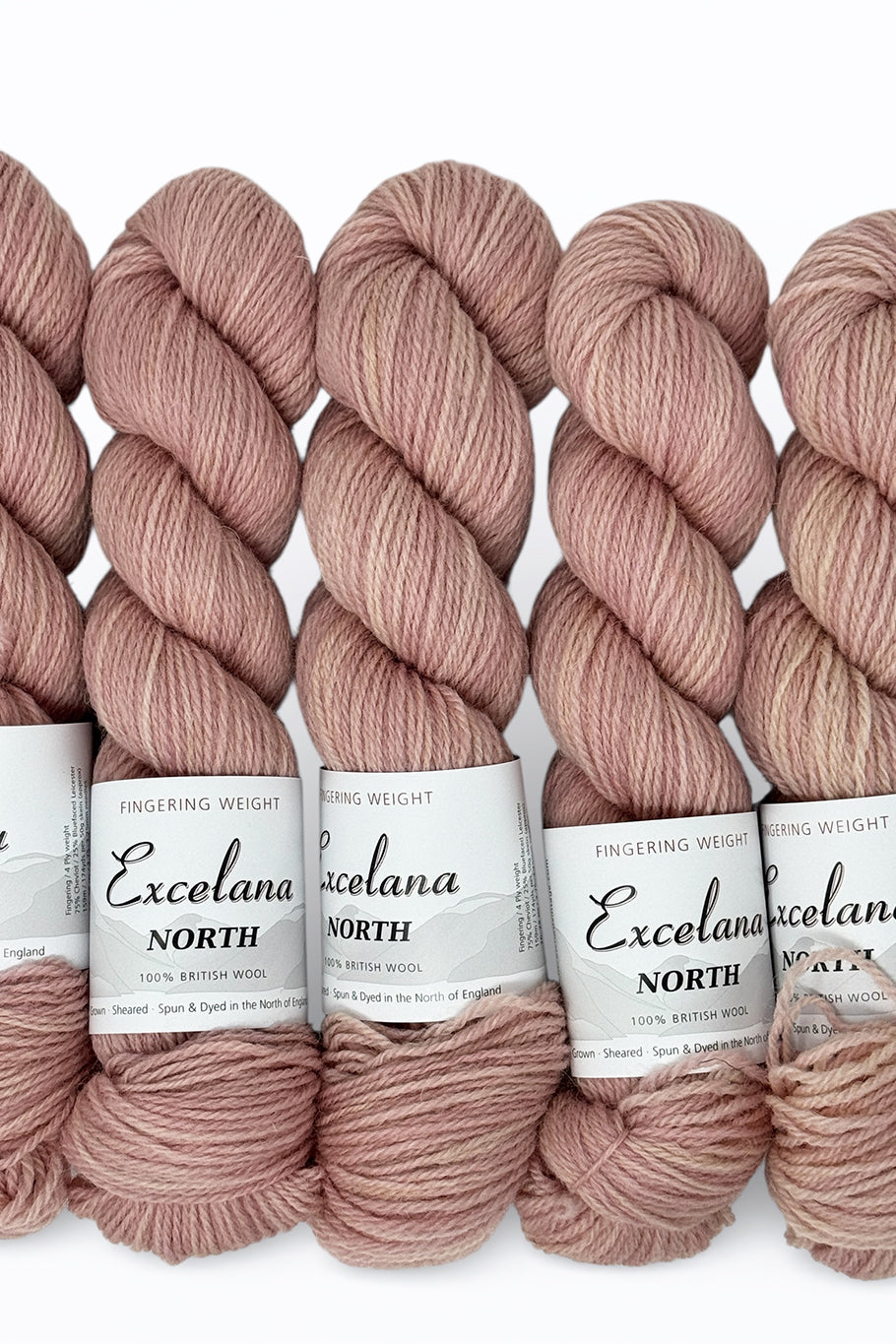 Excelana North Fingering weight - Happy Accident - French Rose Variegated