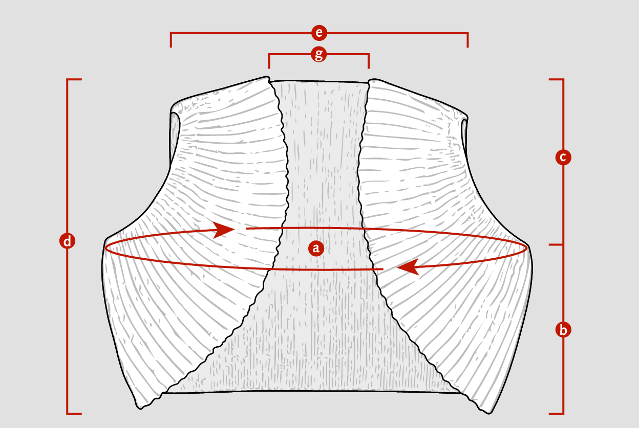 Pattern - Springtime Bolero