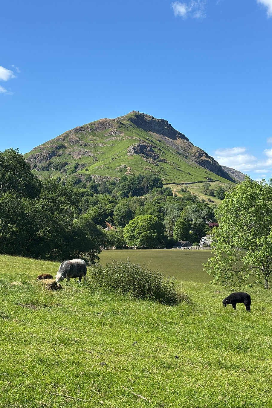 Springtime in the Lake District Knitting Retreat - Monday 17th-Friday 21st May 2027
