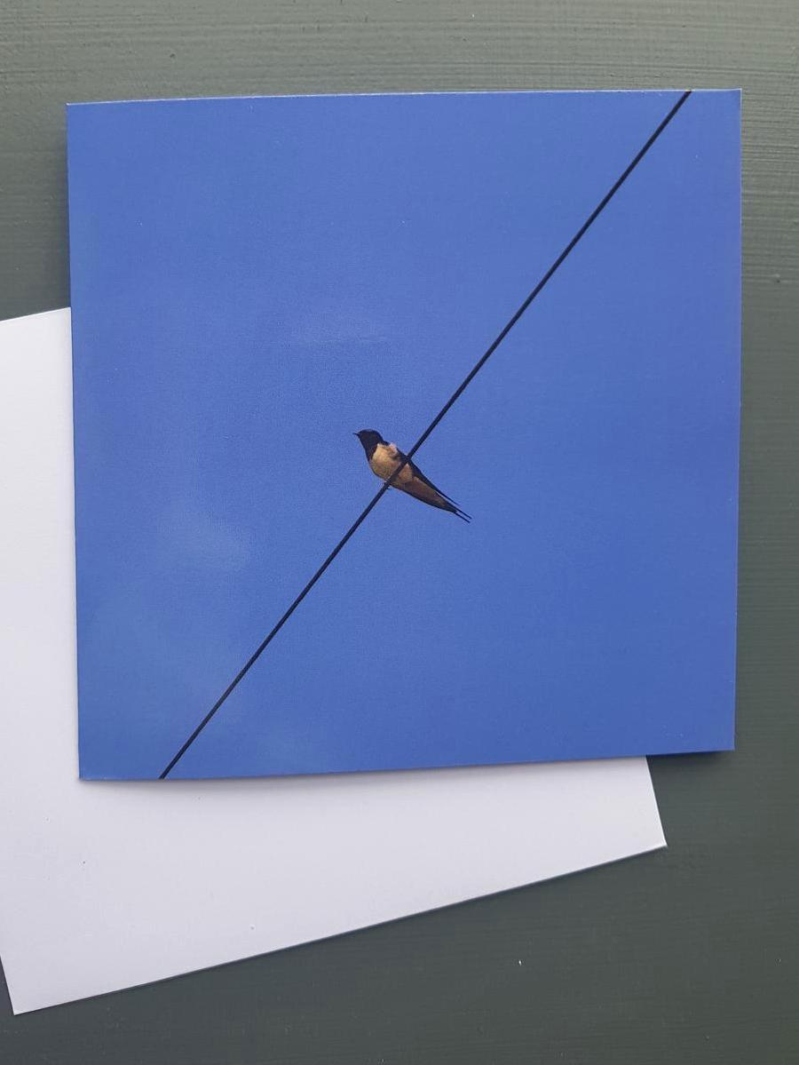 Swallow Greeting card