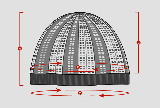 Pattern - Steek